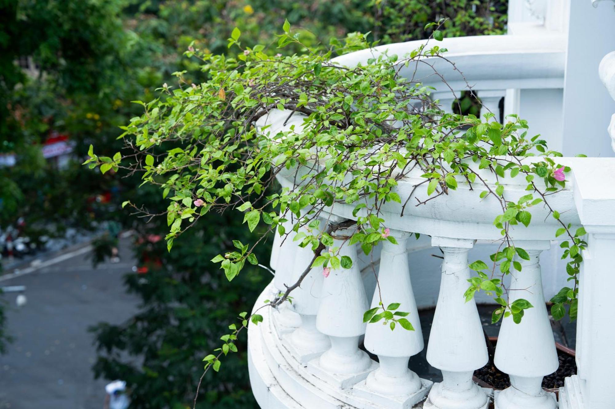 La Sinfonia Del Rey Hotel & Spa Hanoi Exterior photo
